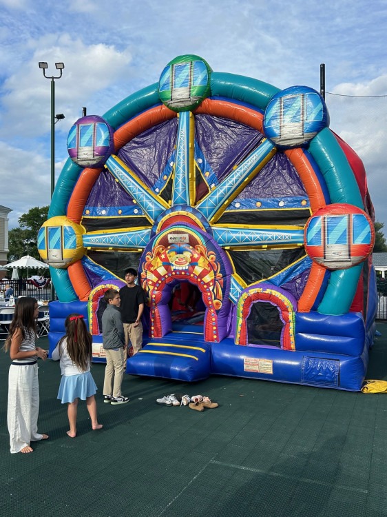 Ferris Wheel Combo and Slide
