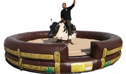 Mechanical Bull