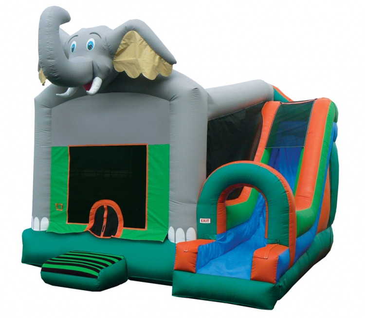 Inflatable Slides & Combo Units